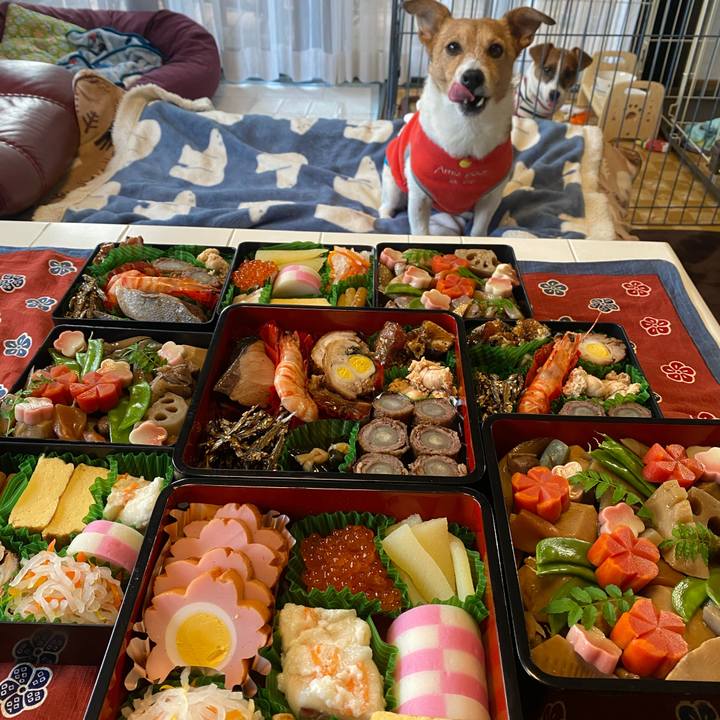 2f91e03f 1ed2 427a 910e 9e491e497135 1704008998815