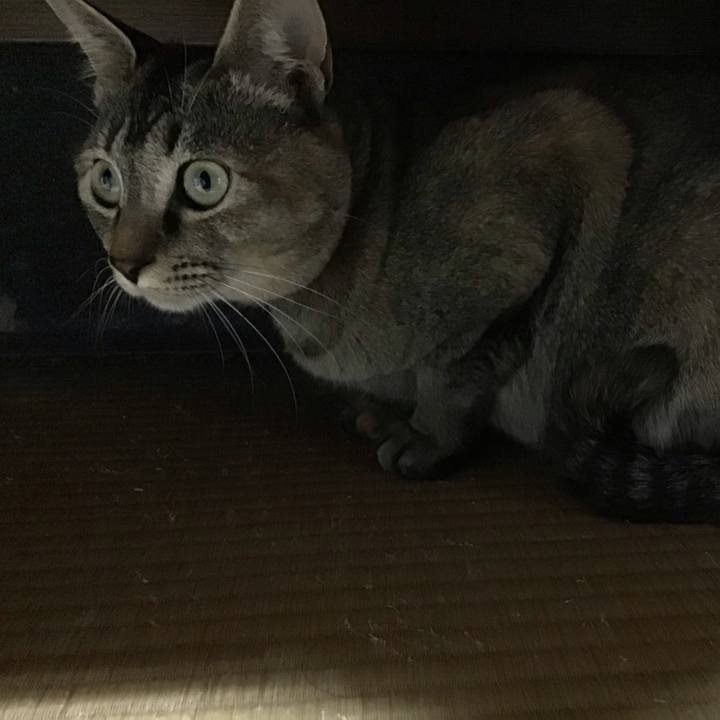 2f91f239 3097 4e42 b7a4 f8e4dbd6940d 1585396063358