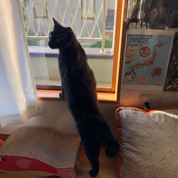 2f91f3ea df46 4d8d aa87 8966e1bb6c16 1542935044825