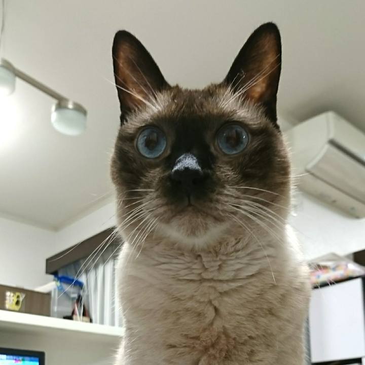 2f92217b 04a6 487b 9640 c9098cea1f9e 1538961405945