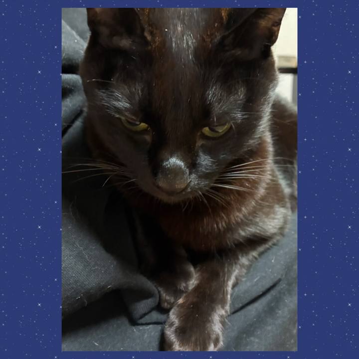 2f922905 be8b 4b6a 8e28 35530e0c9428 1744812086648