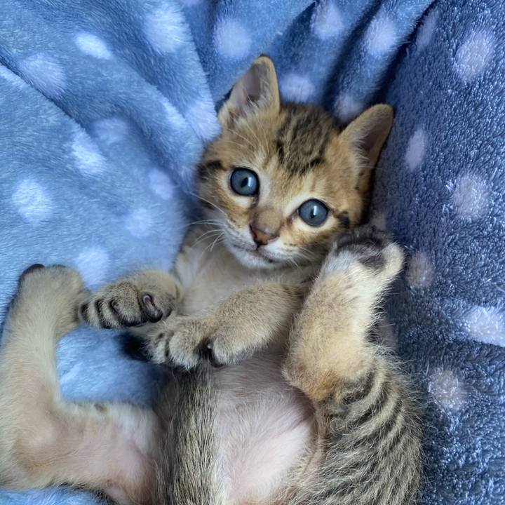 2f922992 3241 4d4a 9d15 4d386e7ee4f0 1620622816058