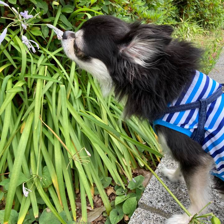 2f9237d1 dfb4 4c2f 8940 cfd8ffc20854 1689438648685