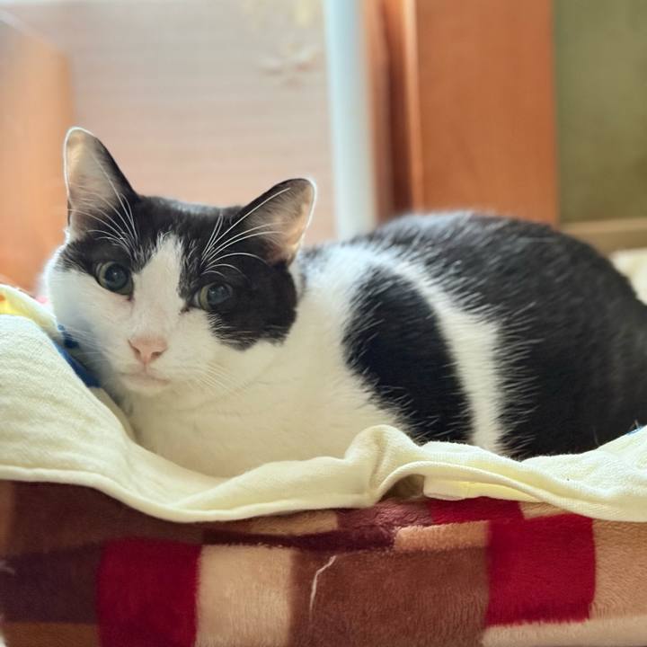 2f9244a6 8010 4932 b10f d60e3342ef5d 1732067072012