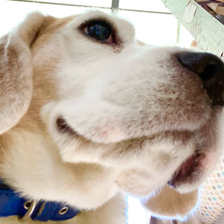 2f924712 4c03 4be5 aa78 93f97e62cbf8 1615780605230