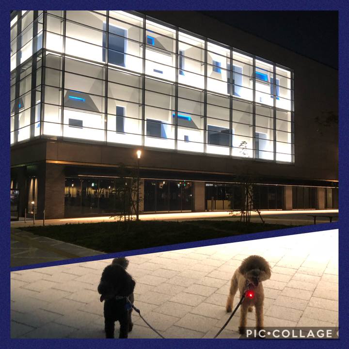 2f92834d 5fe1 4392 aba4 00e832e69e31 1598062190819