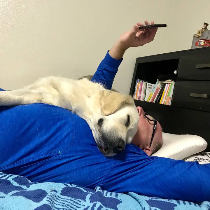 2f92a981 a3fa 4535 92d7 cd584e834bd6 1550277531337