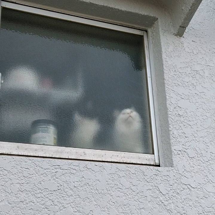 2f92f900 f367 4ac5 bbef 925db2e63d43 1585212846835