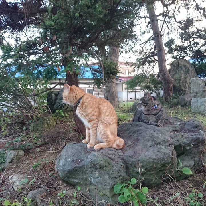 2f93138d a0dc 4f8e ae6e 8afefd87d155 1658656029912