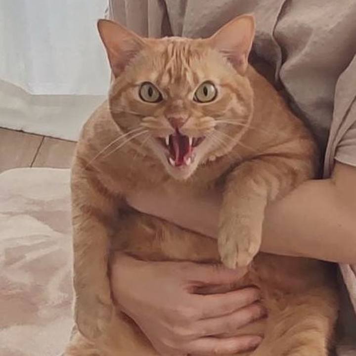 2f934fc1 b3fa 4057 88fd 56e96e1b36a0 1689744121081