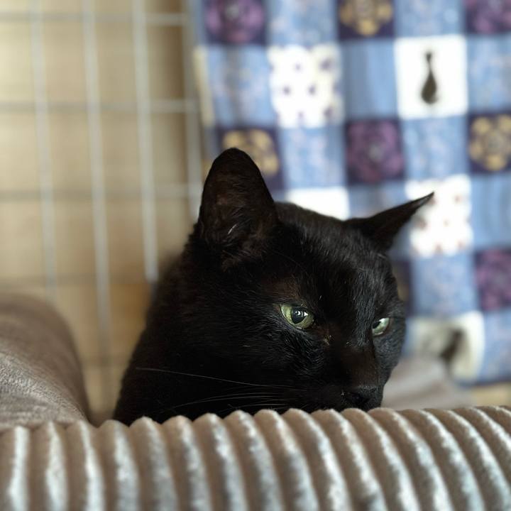 2f939524 0ee6 4a86 a67c 48d5f2bec1d4 1711761849837