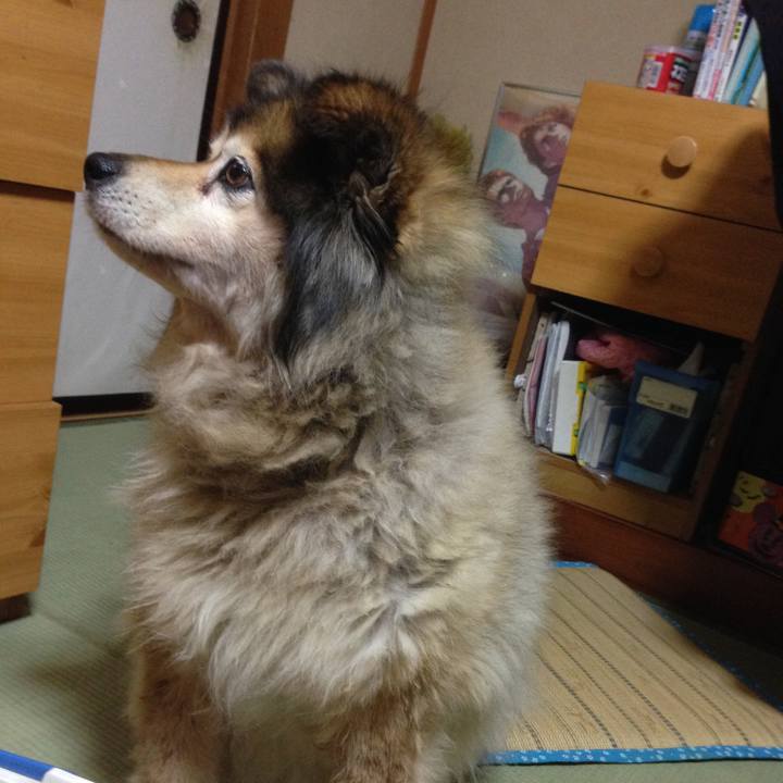 2f93b0a4 3696 4744 9d20 d8aeeb3122d4 1583696698071