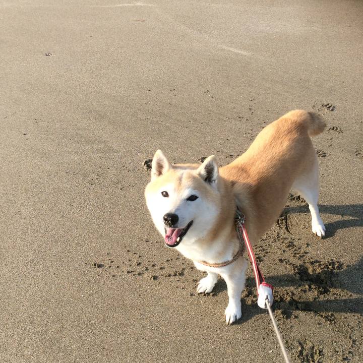 2f93cae2 e870 4e4f a978 19ffaff50c7f 1604499503821