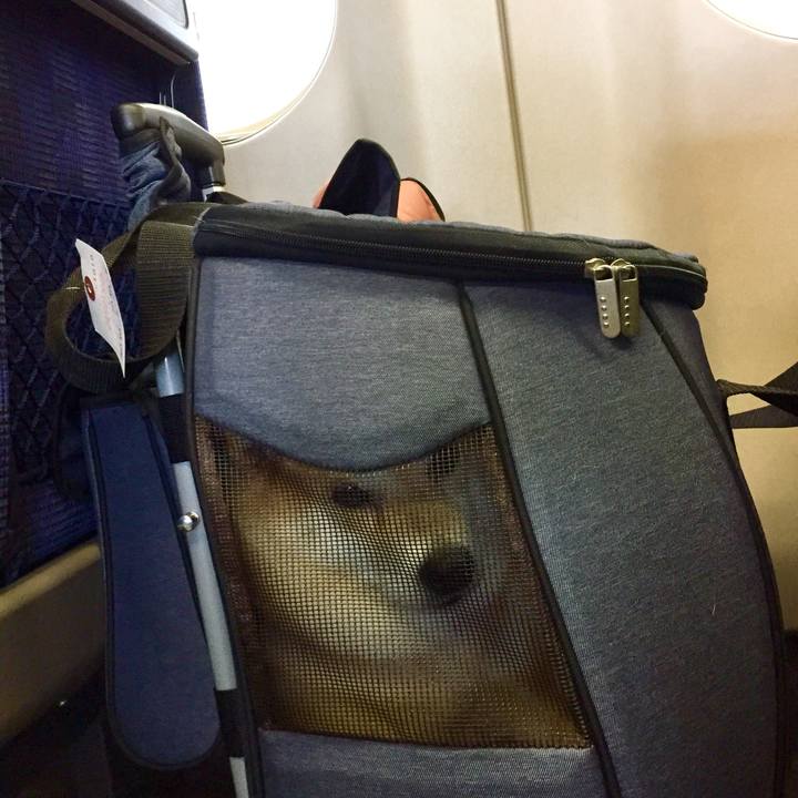 2f93fb38 4e81 4b2a 8440 6b92b09acfb8 1538718504775