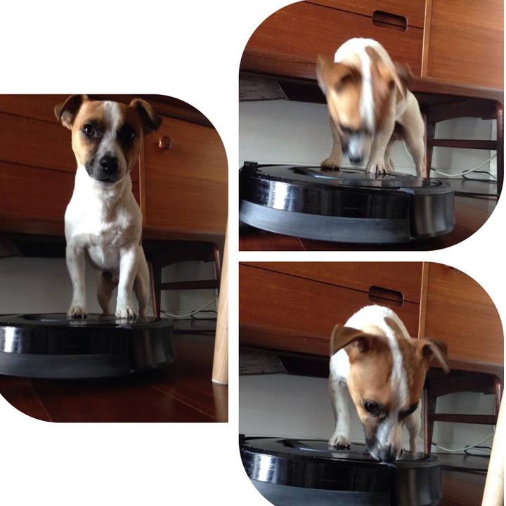 2f94286e 8a42 47c9 8a0c f4614adb7569 1674828121495