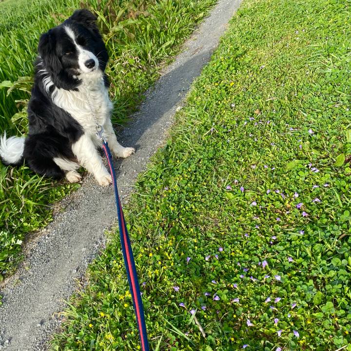 2f942dd7 262b 460f a151 28d25511e46b 1617147515803