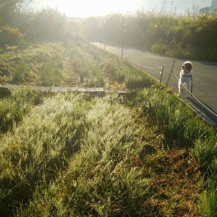 2f94382d 9977 4df6 9bd5 6241bb8627b8 1540513558240