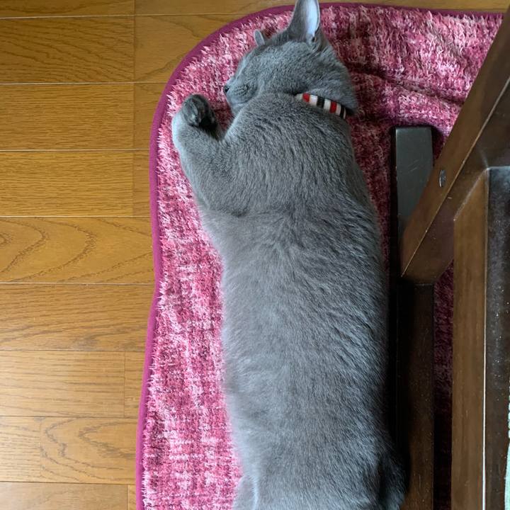 2f943dd2 967b 4ca4 9bc4 cfb90657c193 1593768146798