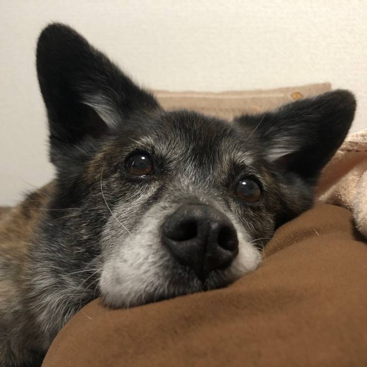 2f94cf89 d75a 47bf baa5 64bd8fece9cb 1686730376130