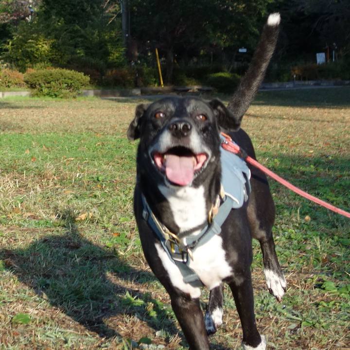 2f94f4ae 5bfa 46f5 8501 1ee2f325e513 1731115157286