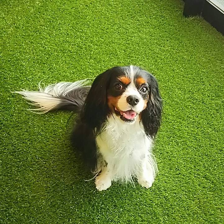 2f94fc12 e284 4ab5 a620 47f0f85f5814 1546748378847