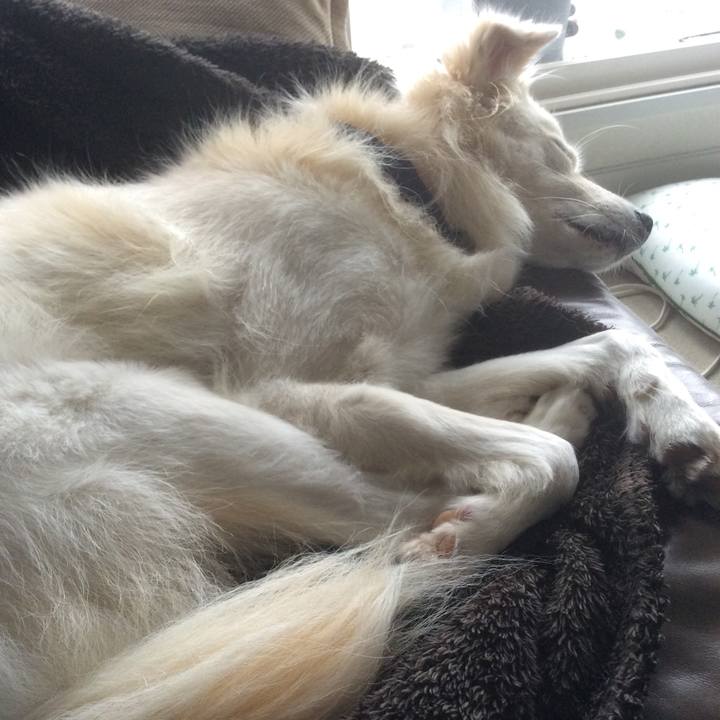 2f94fe0a ac8d 4747 96b2 a8d1de370edc 1508125237613