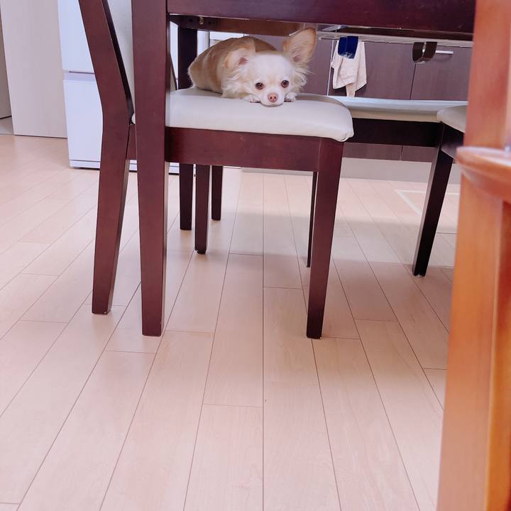 2f9506f2 2a84 4b06 9919 5915b7d689e0 1679481380318