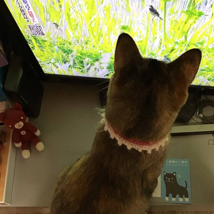 2f955545 5305 416a 959a 57cf05a76a87 1593306913887