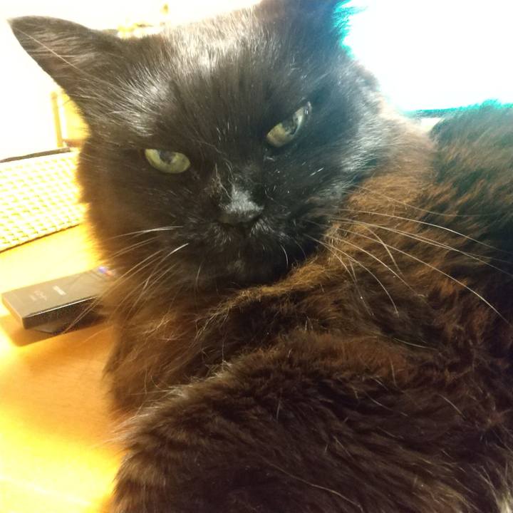 2f957595 53b9 4735 b884 ef29ae2fd31f 1648551617363