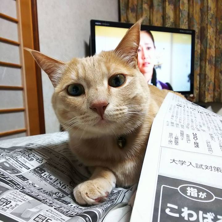 2f958100 938e 4781 b4f3 618427402874 1612601875725