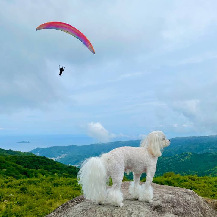 2f9653d9 4b00 42a0 a406 70c3105f91d3 1623748759378