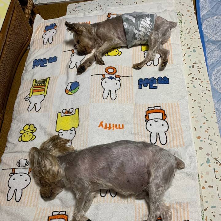 2f968a0a 9ae3 4de3 97d3 9cd7d97801e6 1688120767098