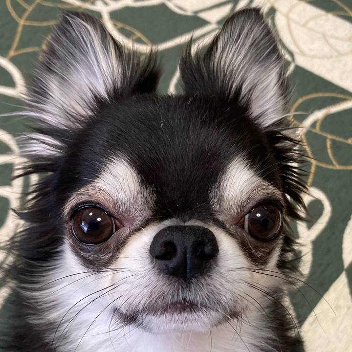 2f96abe1 4525 4f0f a76e b1457d382922 1650668369121