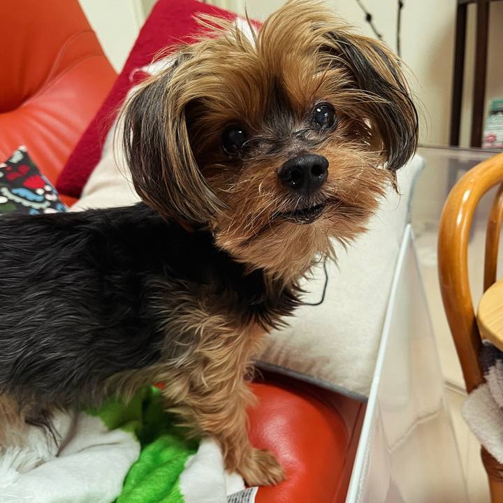 2f96c609 7df1 4a1f 9c04 110029003d4e 1699761307488