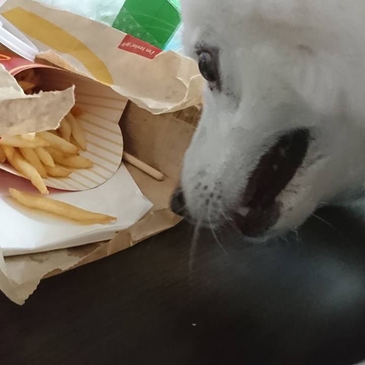 2f9702ce e1c9 44eb 9e6f 1437c2b75ae0 1560837932206