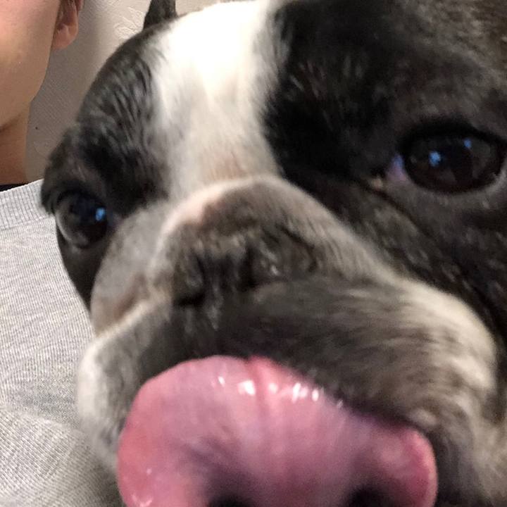 2f971670 34f8 4c58 841b 3a72f4bccec0 1551140250732