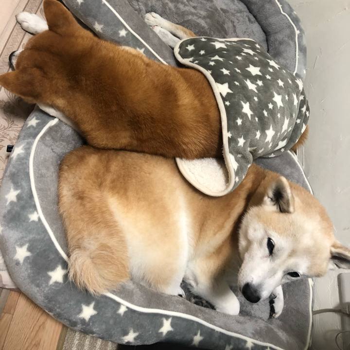 2f9733e2 d780 46ae ad95 ecaf54313a37 1572414586493