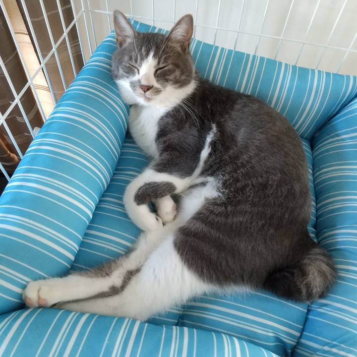 2f975023 0fd3 4237 adb1 a76b83f4115e 1598594041929