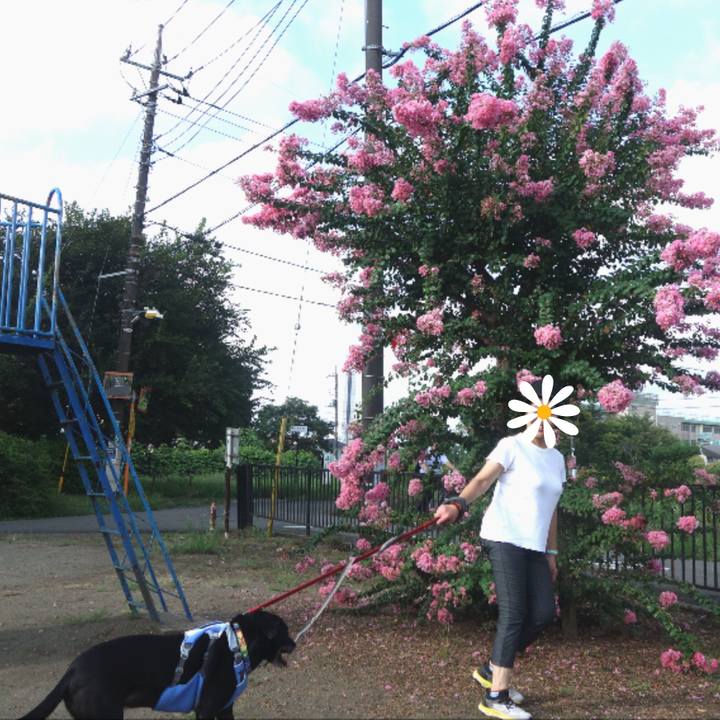 2f975db2 1391 451e bec4 e79fb6818df5 1692576373246