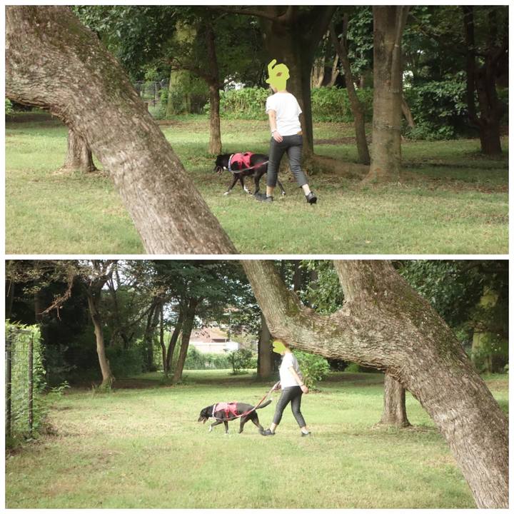 2f977e63 c0a4 43c0 9e69 3a724ae08ba4 1694044875046