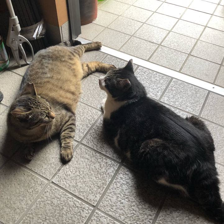 2f978d38 c1cd 4b4c a193 8b6c1a5fd58a 1530702103546