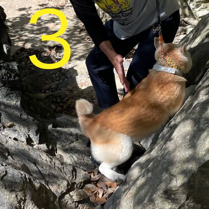 2f97a513 682e 4480 8e37 8f7d2af146a9 1633211261210