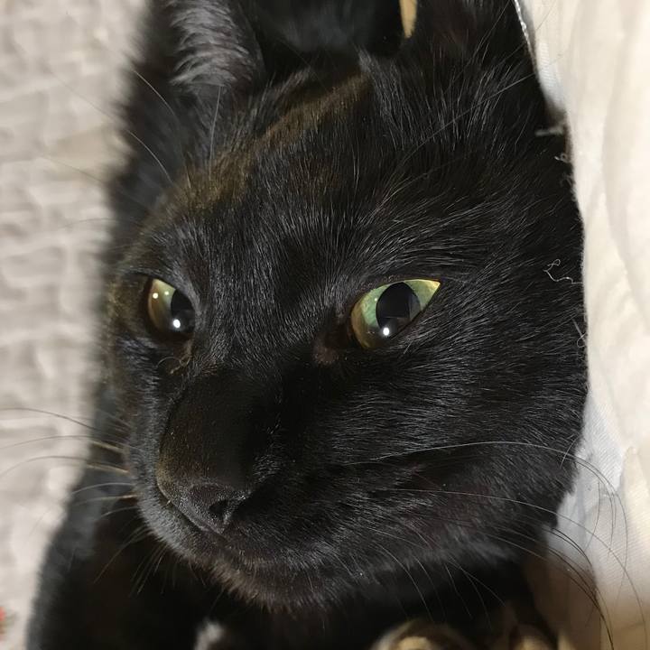 2f97b481 6c06 49a2 b53b 0204073787f9 1578141701747