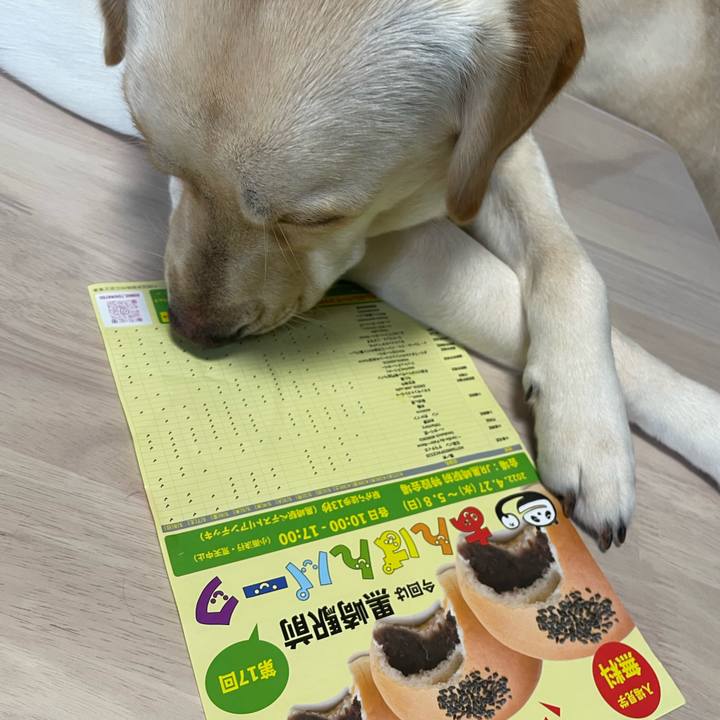 2f97bb72 8c20 4cfb a985 95a510638b26 1650876389763