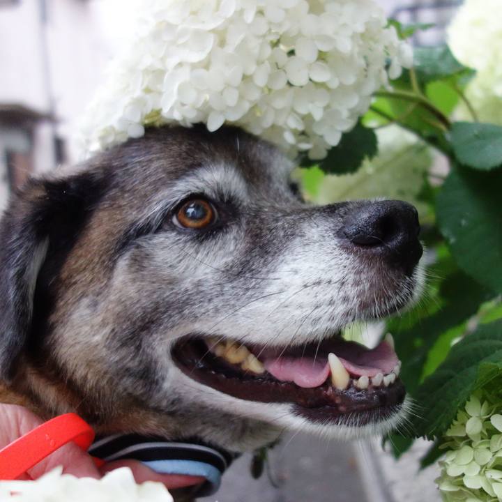 2f97bbf1 351d 4243 a252 0303248a4b35 1719705545853