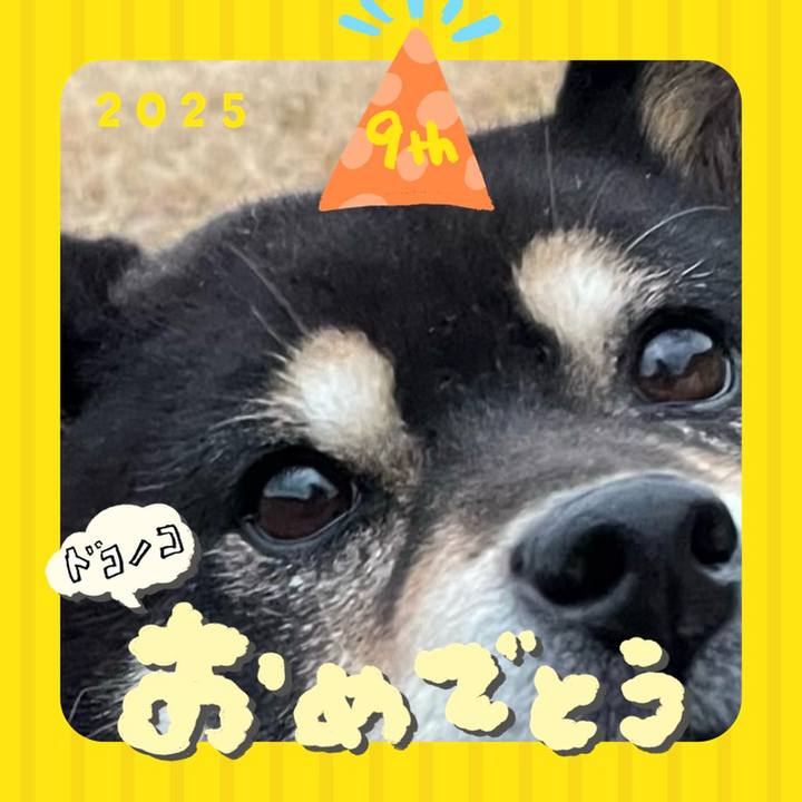 2f97d4ed a17a 4824 a519 7728669856e4 1749093753305