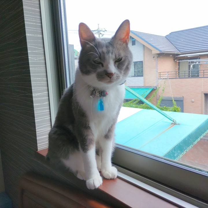 2f97e1da 1cf9 4ce4 b1c4 a77b4e0d642f 1692309961951