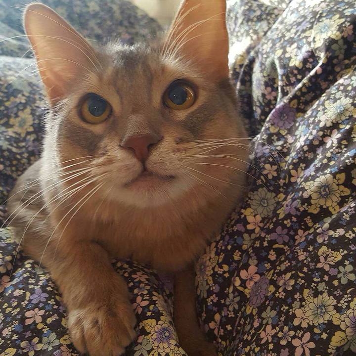 2f97eca5 940c 4168 82eb b42719366786 1545870203583