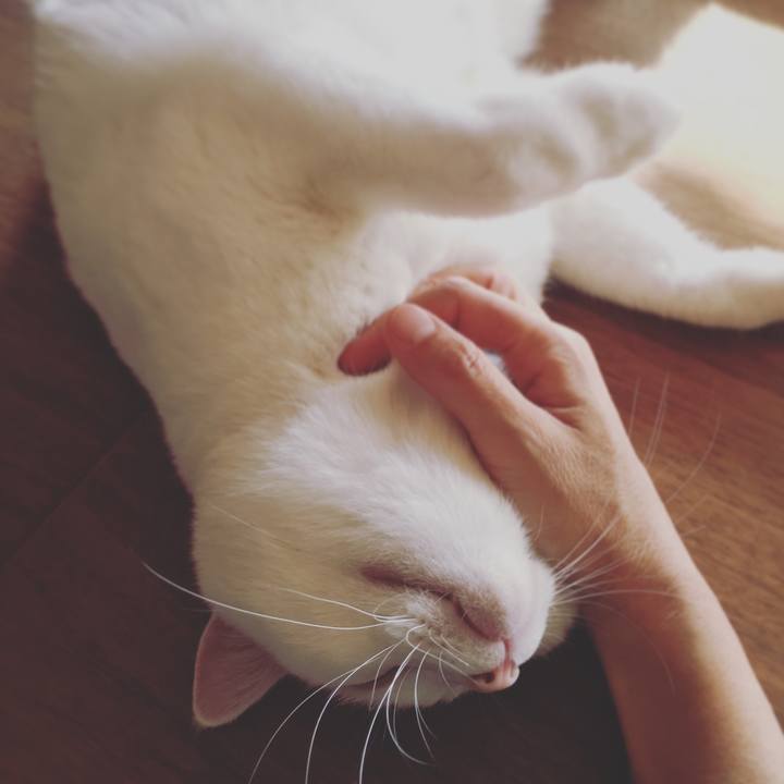 2f97fdb4 e875 4346 ab7d 4d1520375d6c 1545614669577