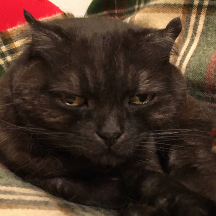 2f9823ac ce2d 427b a9d8 c0ba510b3b32 1522688759839